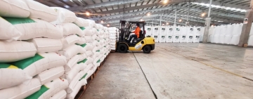 Planta de Amoniaco y Urea produjo 91.000 toneladas desde su reactivación