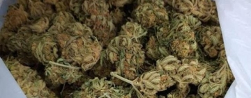 Dictan sentencia a 14 años a sujetos por tráfico de marihuana en Tarija