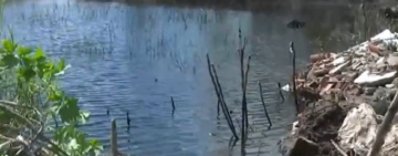 Envían a la cárcel a mujer que pretendía ahogar a su bebé en Santa Cruz