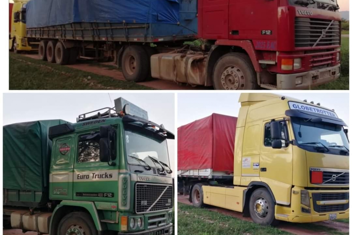 CEO reporta el comiso de siete camiones con soya en frontera con Argentina