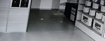 Policía investiga el robo de celulares de alta gana valuados en $us 12.000