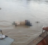 Marinos rescatan cuerpo sin vida luego ocho días de búsqueda en Riberalta