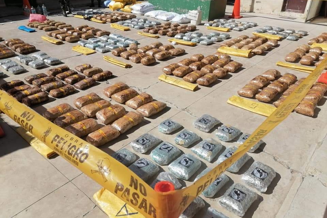Fuerza antidroga afecta al narcotráfico con $us. 649.950 en Oruro