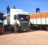 Contrabando: FFAA y Aduana intensifica operativos en frontera con Argentina