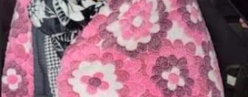 Policía desbarata a banda y recupera objetos robados al atleta Vidal Basco en Oruro 