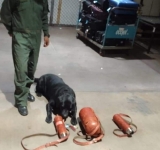 Un can antidroga detecta 4,6 kilos de base de cocaína en el aeropuerto de Viru Viru 