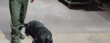 Un can antidroga detecta 4,6 kilos de base de cocaína en el aeropuerto de Viru Viru 