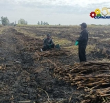 En Bermejo-Tarija arranca temporada de la zafra 