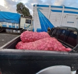 En frontera con Perú y Argentina CEO interceptar productos de contrabando