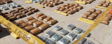 FELCN afecta al narcotráfico con un millón de dólares en el Beni