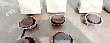 Caen dos sujetos que vendían Brownies y galletas de marihuana en Cochabamba