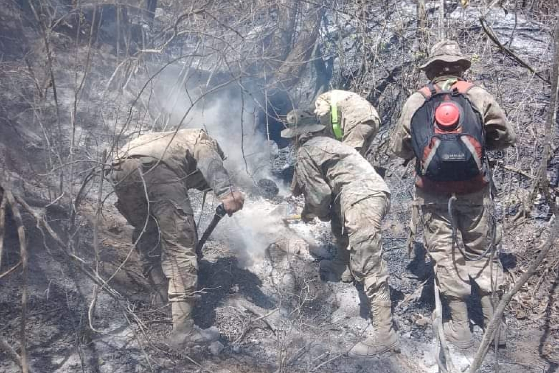 Defensa Civil y FFAA controlan incendios en Capinota y Del Villar