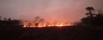 ABT detiene quema ilegal de cordones en San José de Chiquitos