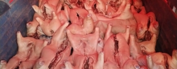 Militares interceptan ingreso ilegal de carne de cerdo en frontera con Perú