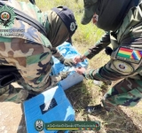 Fuerza antidroga afecta con $us 750.000 al narcotráfico en el Chapare