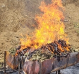 UNODC avala destrucción de 433,5 kilos de marihuana en Cochabamba