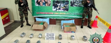 La FELCN confisca marihuana y 15 kilos de cocaína valuada en $us 64. 471 en Tarija