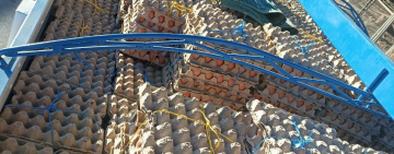 Militares interceptan camión con 150 mil huevos de contrabando a Perú