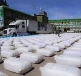 Policía Boliviana decomisa 20.344 libras de coca peruana prensada