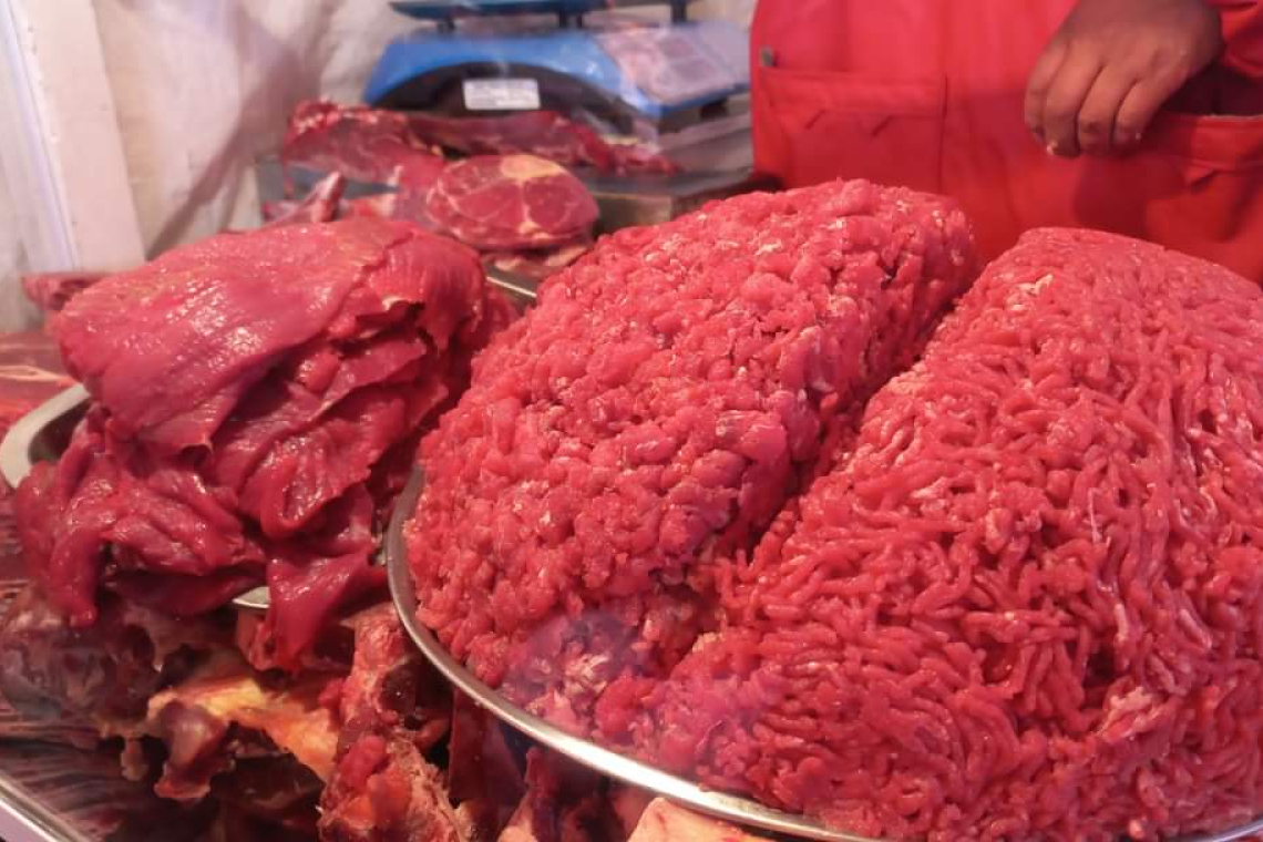 Silva: Mientras no haya protocolo de inocuidad, venta de carne de burro no está autorizada