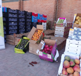 Día Mundial de la Inocuidad de los Alimentos 2023: las normas alimentarias salvan vidas