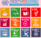 Principales desafíos de la agenda 2030 en relación al Desarrollo Humano y Ambiental.