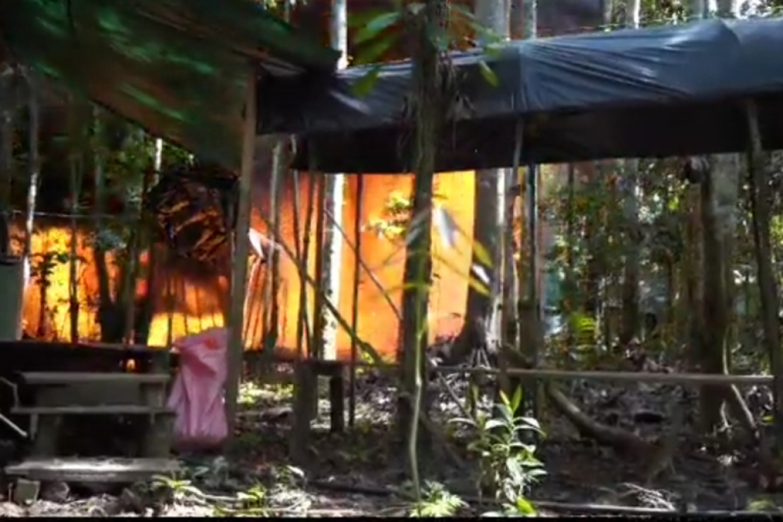 FELCN desbarata 7 laboratorios y afecta al narcotráfico con $us 2 millones