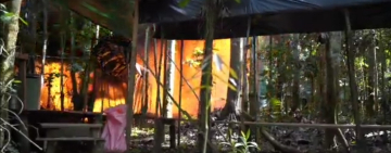 FELCN desbarata 7 laboratorios y afecta al narcotráfico con $us 2 millones