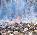 Bomberos forestales de las FFAA controlan incendio en el municipio de Tiraque