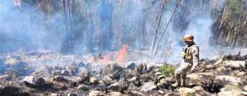 Bomberos forestales de las FFAA controlan incendio en el municipio de Tiraque