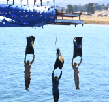 Fuerzas Especiales de las FFAA optimizan instrucciones para mejorar la capacidad operativa