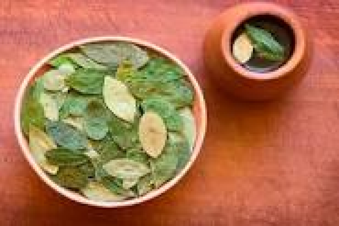 México apoya a Bolivia en campaña para desclasificar la coca de lista de estupefacientes