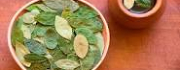 México apoya a Bolivia en campaña para desclasificar la coca de lista de estupefacientes