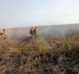 Bomberos forestales de las FFAA controlan incendio en Parque Otuquis