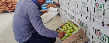 Plan del Sur intercepta 21 toneladas de productos ilegales argentinos en Potosí