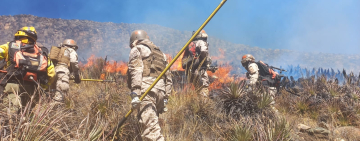 Gobierno y municipios de Cochabamba disponen tareas para prevenir incendios