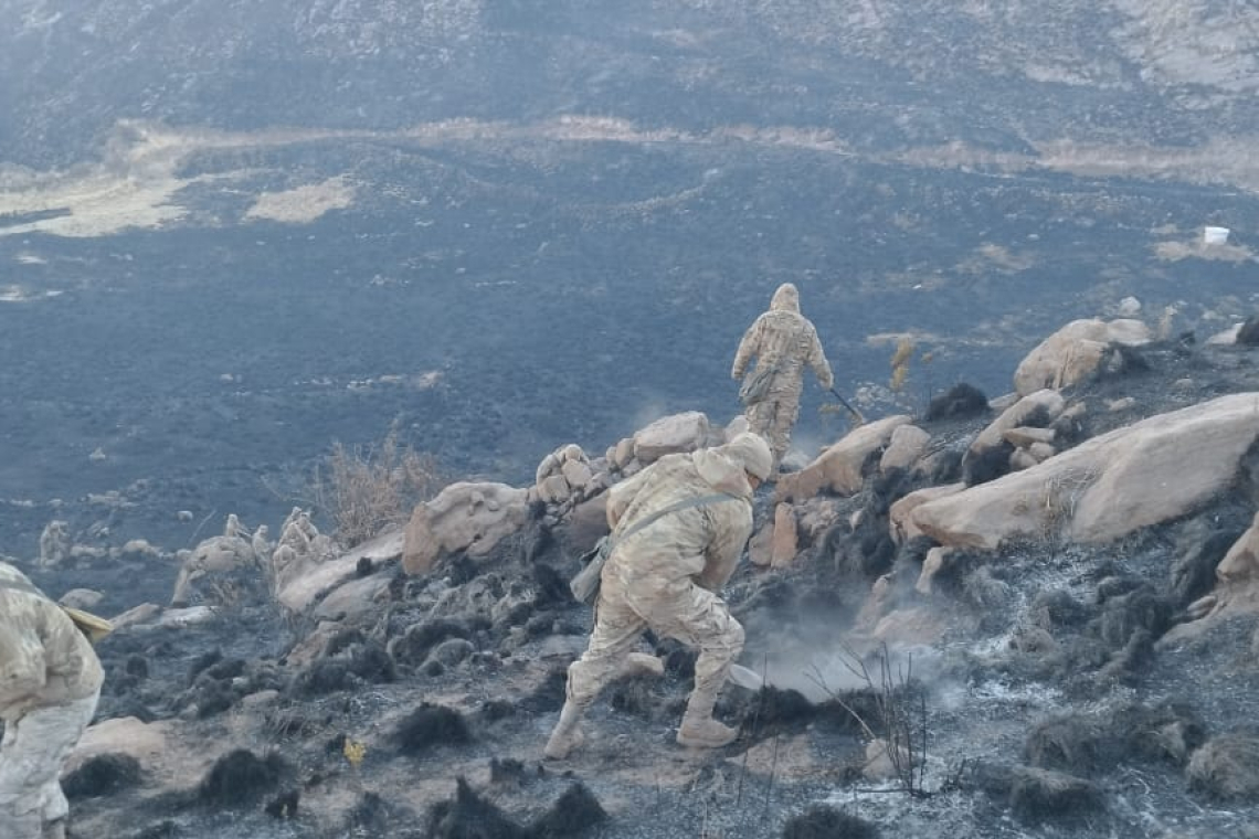 Bomberos forestales controlan incendios en municipios de La Paz