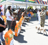 El Ejército entrega 17.000 kilos de alimentos para canes 