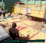 La FELCN aplica el mayor secuestro de marihuana en Tarija