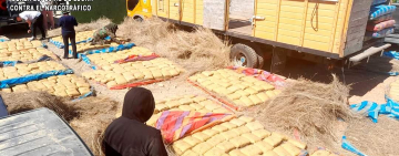 La FELCN aplica el mayor secuestro de marihuana en Tarija