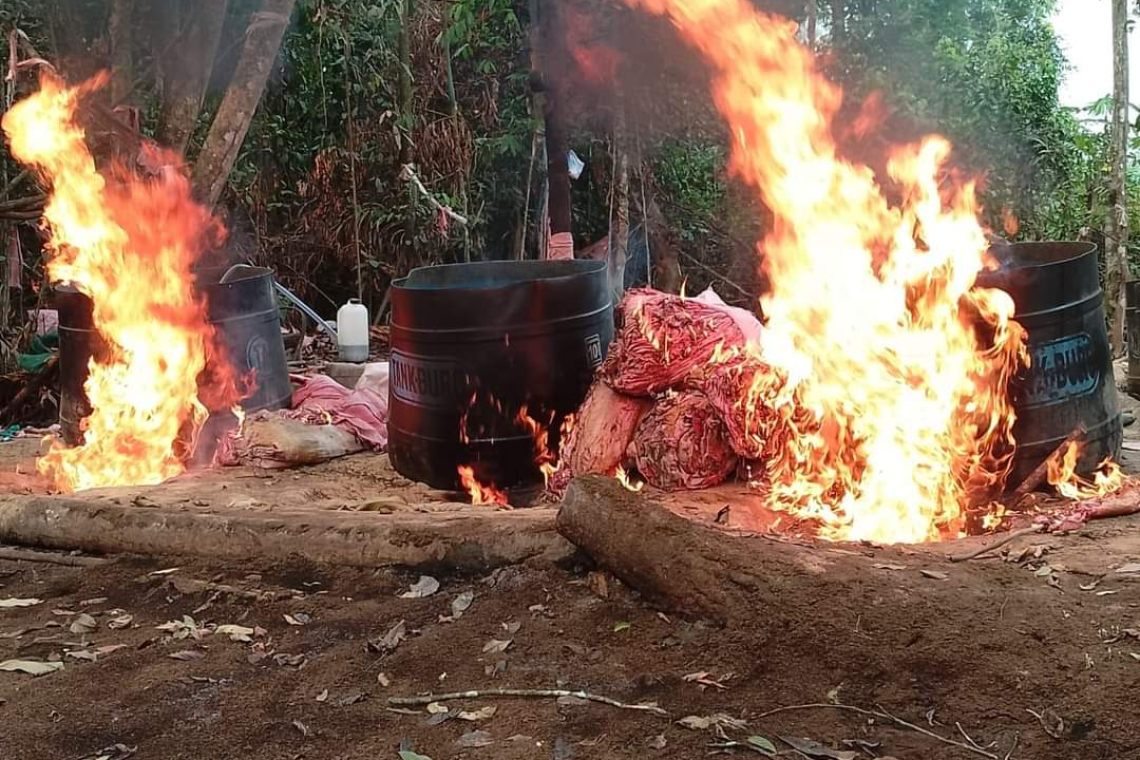 FELCN asesta duro golpe al narcotráfico con desbaratar 36 factorías en el Chapare