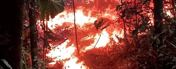 FELCN confisca 136 kilos de cocaína y desbarata 55 factorías en el Chapare