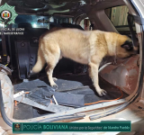 Can antidroga detecta 36,9 kilos de cocaína en un “macaco” en el Oriente