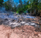Ofensiva aérea y terrestre para sofocar 11 incendios en tres regiones del país
