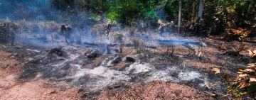 Ofensiva aérea y terrestre para sofocar 11 incendios en tres regiones del país