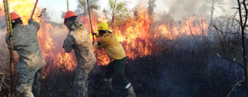 No se reporta incendios, Gobierno asistió a 9.325 familias con 225,75 toneladas de ayuda