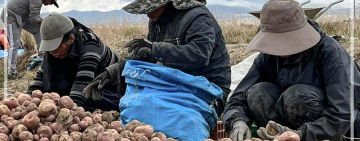 Gobierno asegura más de 136.000 ha de cultivos contra efectos climatológicos, paga Bs 1.000 por ha perdida o dañada