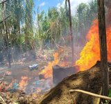 Destruyen 13 fábricas móviles de cocaína en el Trópico de Cochabamba