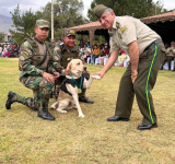 Centro de Canes gradúa a 31 guías para fortalecer la lucha antidroga