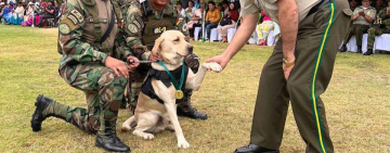 Centro de Canes gradúa a 31 guías para fortalecer la lucha antidroga